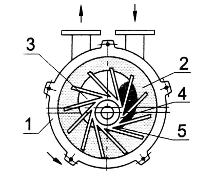 2BC水环式九游 SPORTS内部结构图